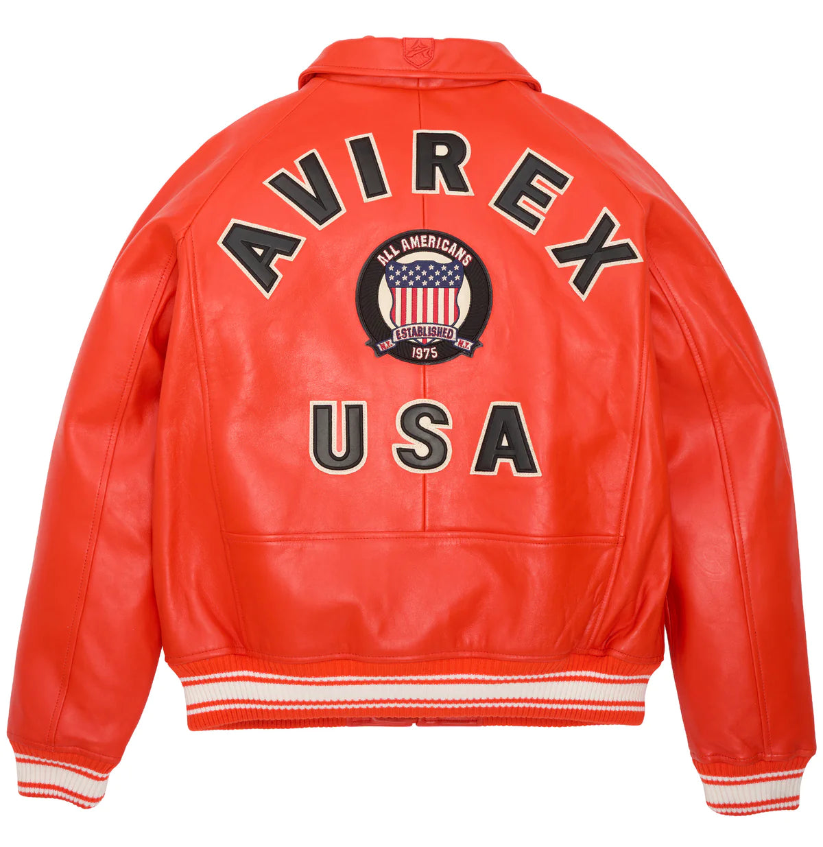 Leather sales jacket avirex