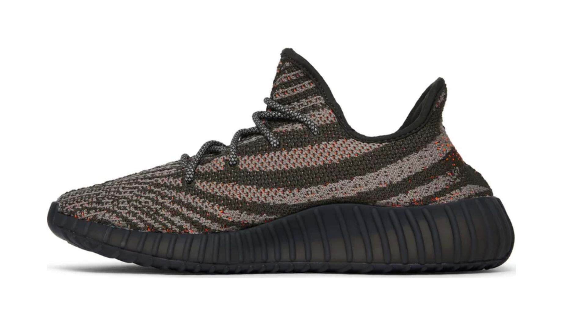 Beluga v3 on sale