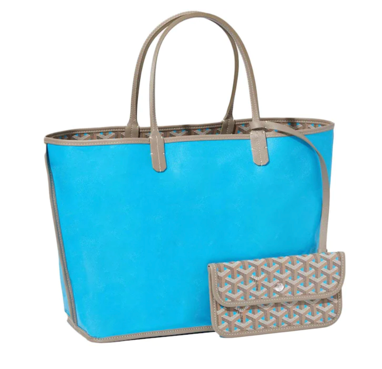 GOYARD SAINT LOUIS CLAIRE Tech Nylon Cony Backpack Duffle