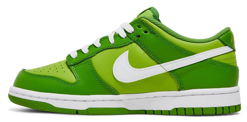 NIKE DUNK LOW CHLOROPHYLL (GS)
